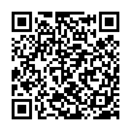 QR code for MSQ451