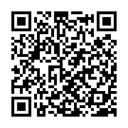 QR code for MSQ519