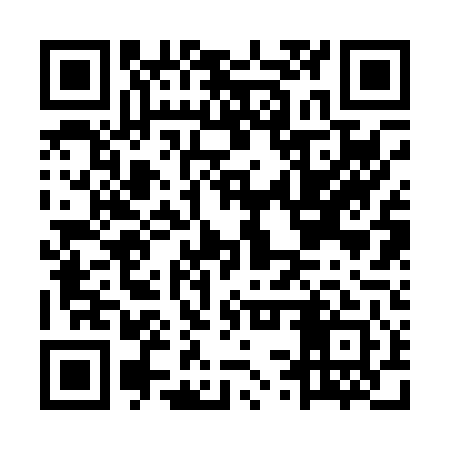 QR code for MSR041