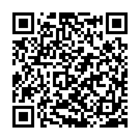 QR code for MSR333