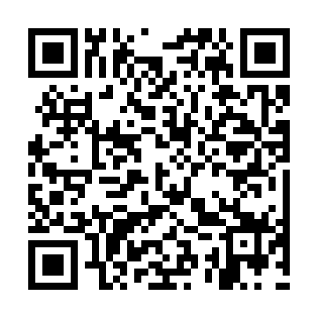 QR code for MSR379