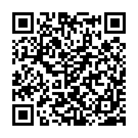 QR code for MSV597