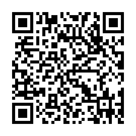 QR code for MSX063