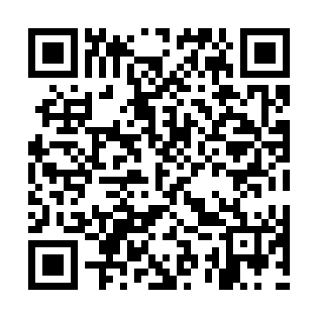 QR code for MSX346