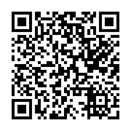 QR code for MSX376