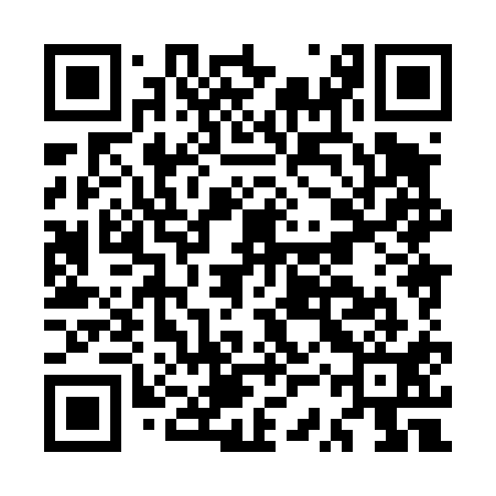 QR code for MSX411