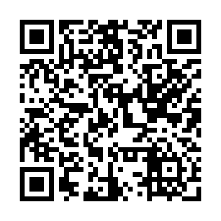 QR code for MSX934