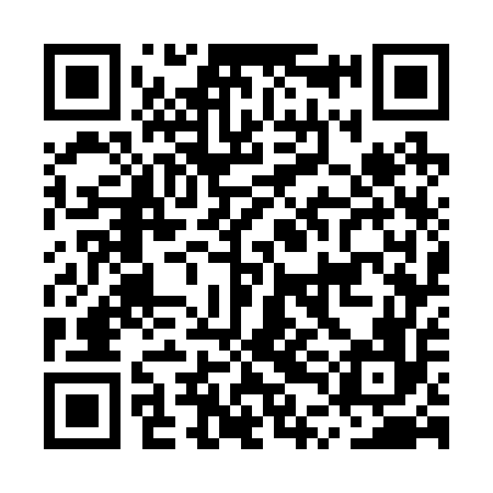 QR code for MTG256