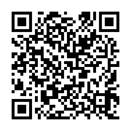 QR code for MUI919