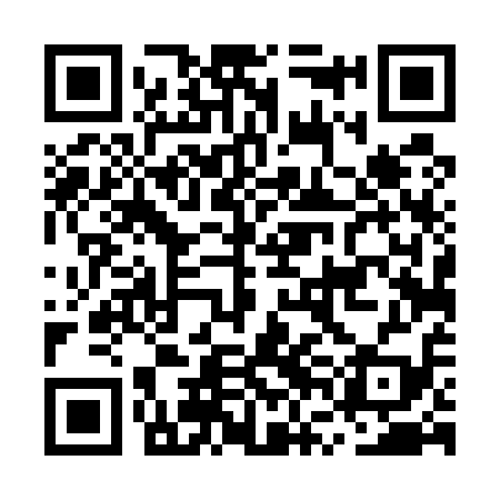QR code for MVD519