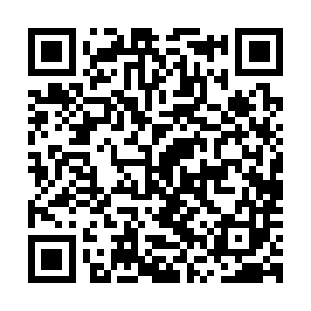 QR code for MVP383