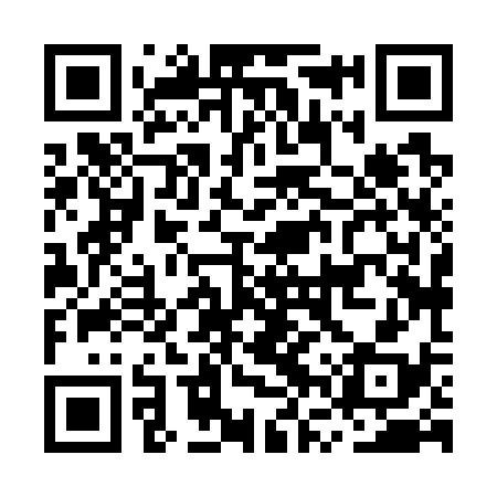 QR code for MVX738