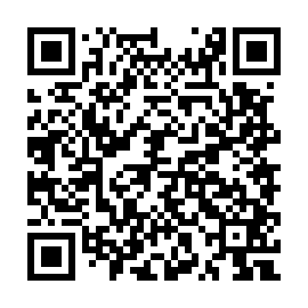 QR code for MXN541