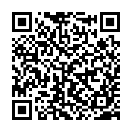 QR code for MXS384
