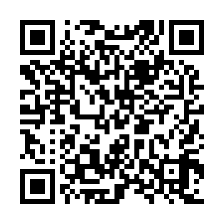 QR code for MXZ919