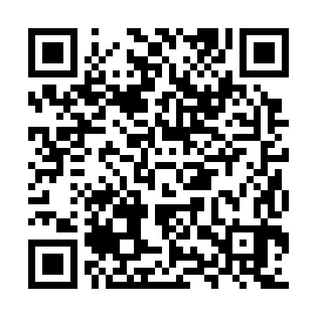 QR code for MYR383