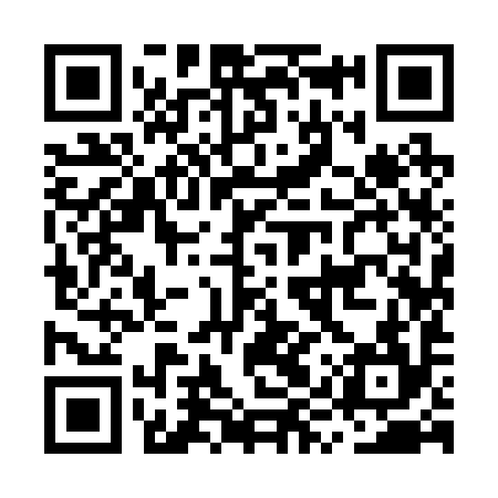 QR code for MYY294