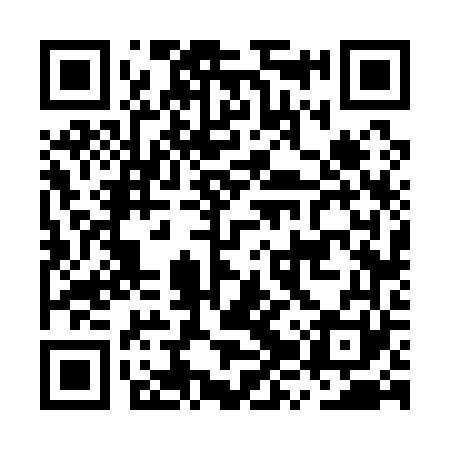 QR code for MZV161