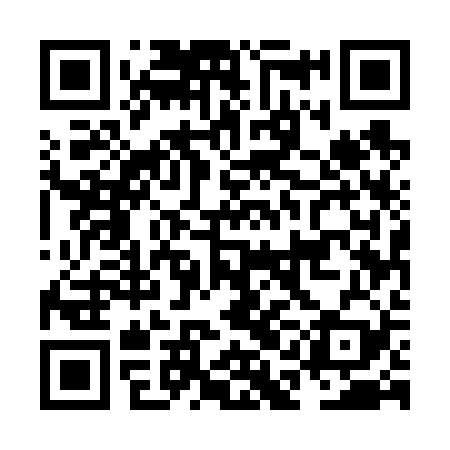 QR code for NAE629