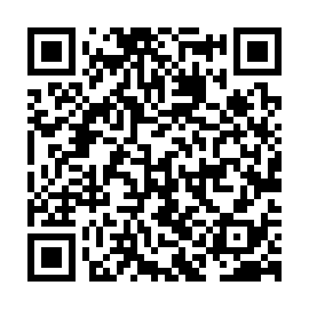 QR code for NAL338