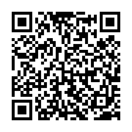 QR code for NAL493