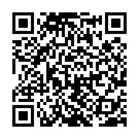 QR code for NAL539