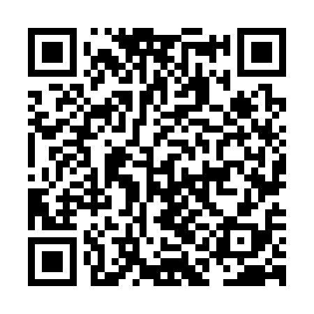 QR code for NAN318