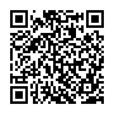QR code for NAN376