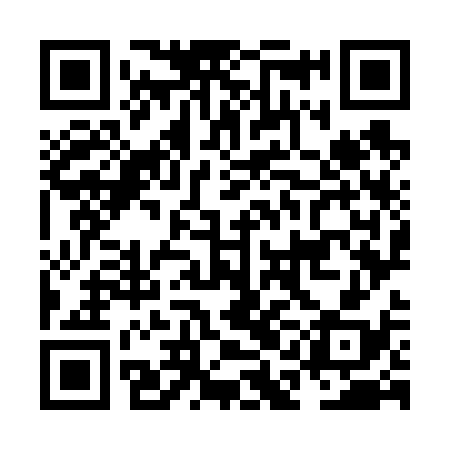 QR code for NAO638