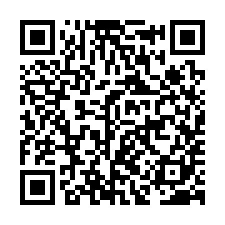 QR code for NAS381