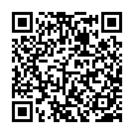QR code for NAT381
