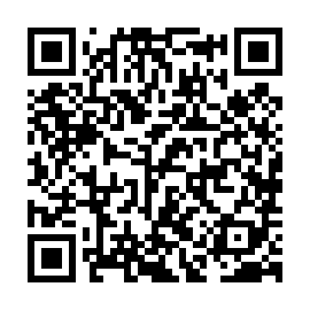 QR code for NAX489