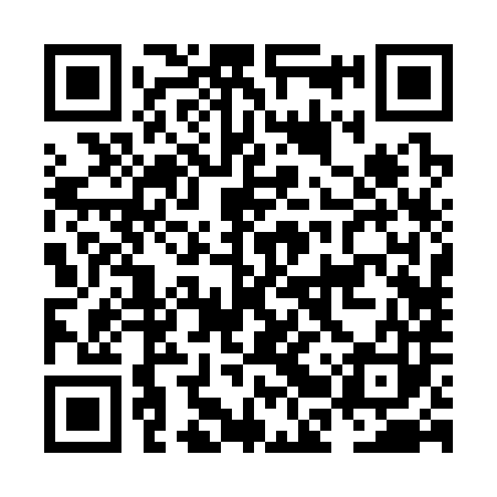 QR code for NBR383