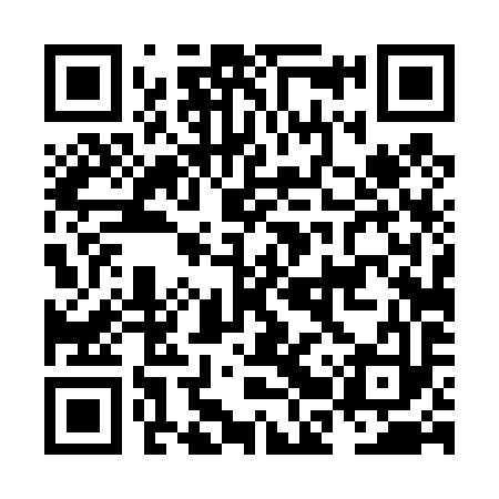 QR code for NBT493