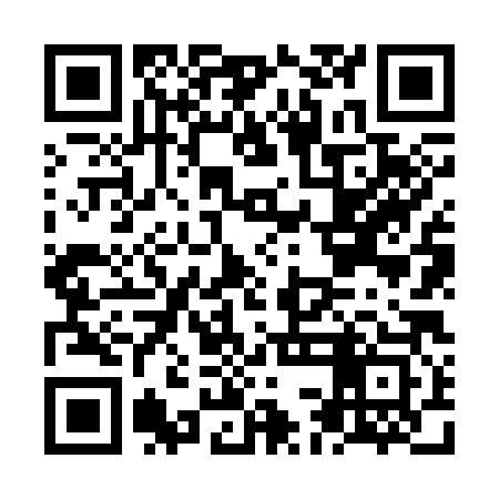 QR code for NCN383