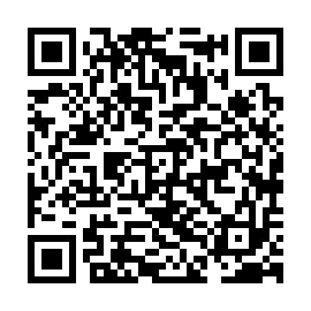 QR code for NDH313