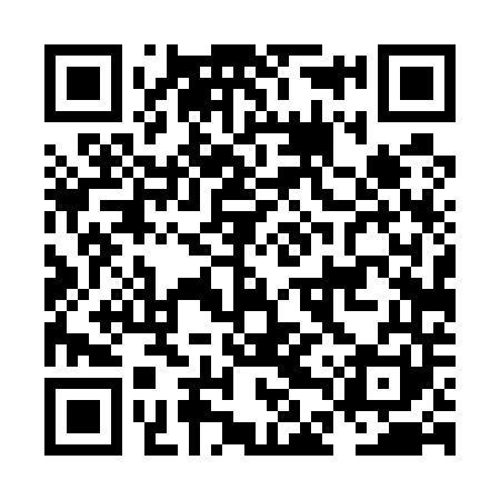 QR code for NDT541