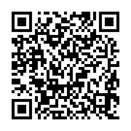 QR code for NEC993