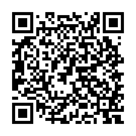 QR code for NEE381