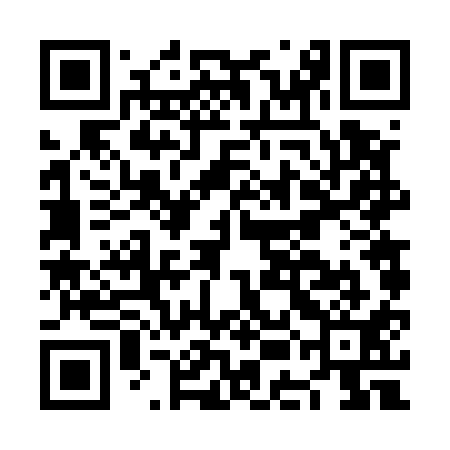 QR code for NEF511