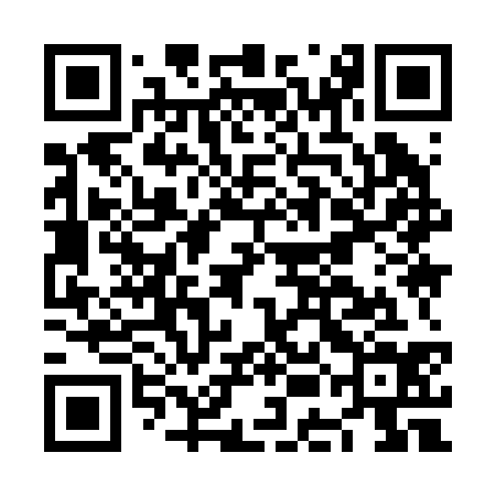 QR code for NEI234
