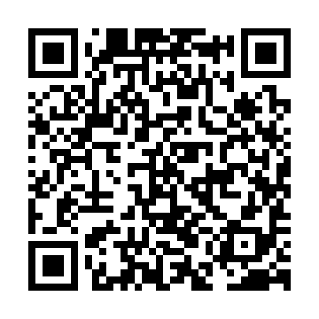 QR code for NEI398