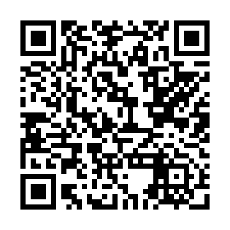 QR code for NEI653