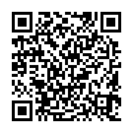 QR code for NEM381