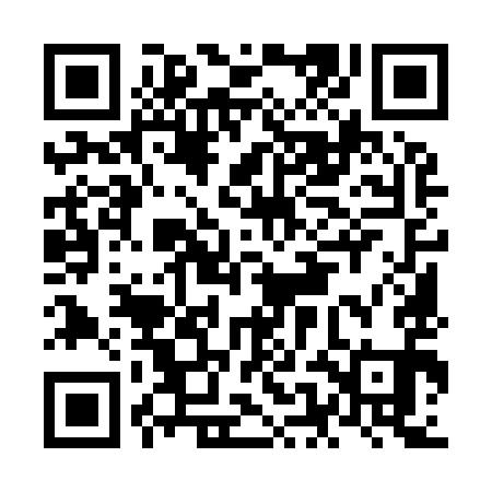 QR code for NEM991