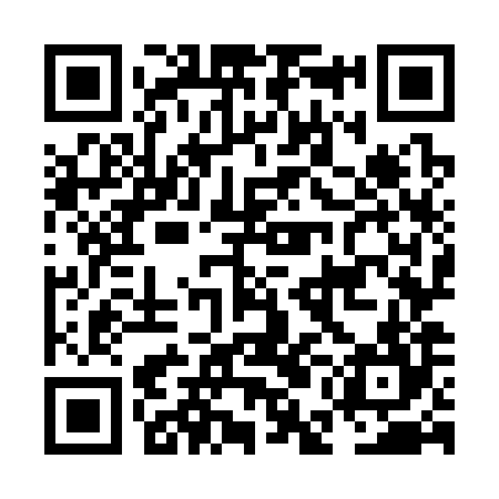 QR code for NEO384
