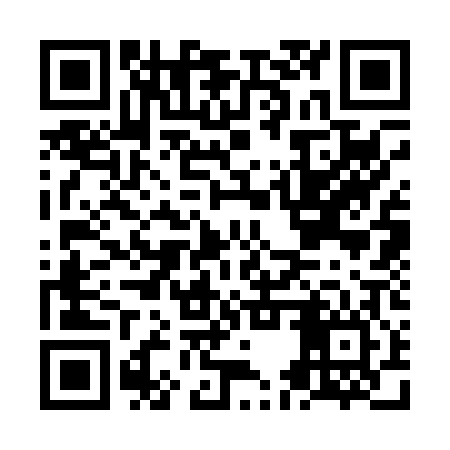 QR code for NES006