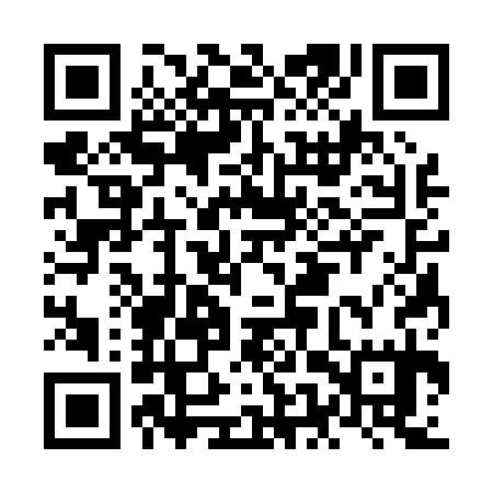 QR code for NES035