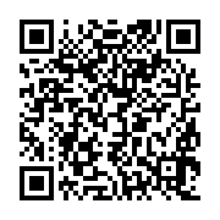 QR code for NES197