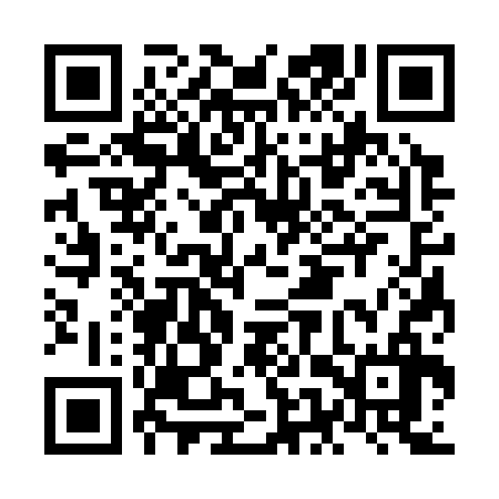 QR code for NES336